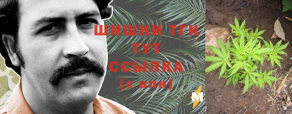 прущие грибы Алексеевка