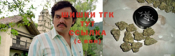прущие грибы Алексеевка