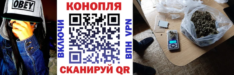 Бошки Шишки гибрид  Ахтырский 